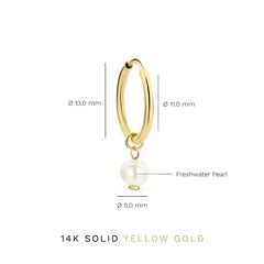 Delia Crest Earrings | Gold