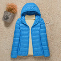 Blue 02