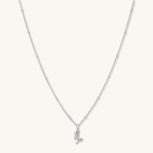 Capricorn Pendant Zodiac Star Sign Necklace
