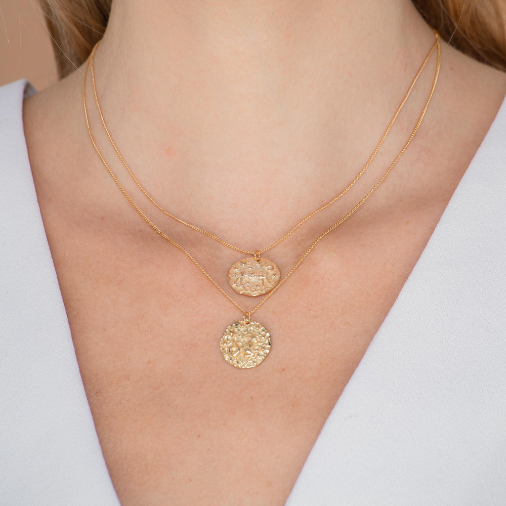 Capricorn - Star Sign Necklace