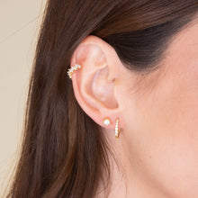 Classic 6 Claw Sapphire Stud Earrings
