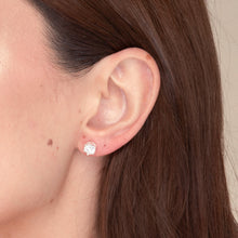 Classic 6 Claw Sapphire Stud Earrings