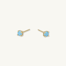 Classic Birthstone Earrings December