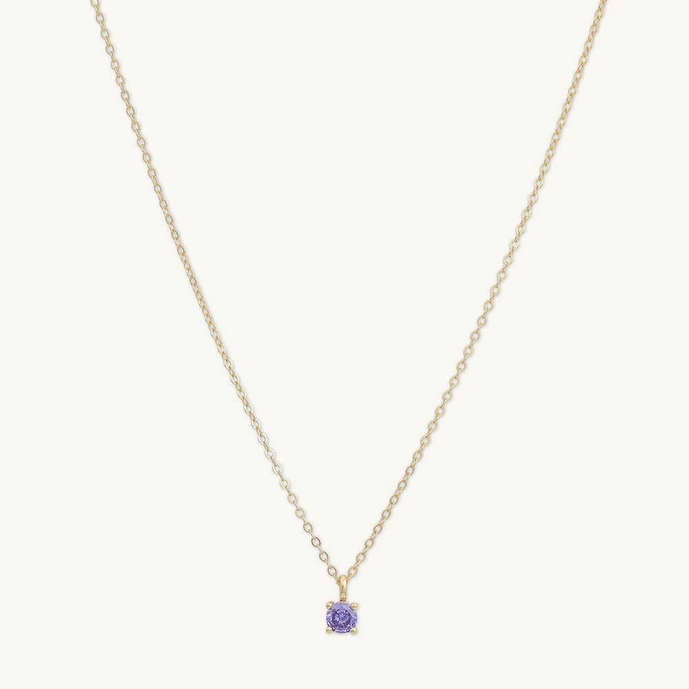 Classic Birthstone Necklace February