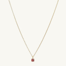 Classic Birthstone Necklace January