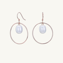 Freshwater Pearl Circular Drop Earrings