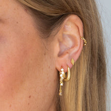 Oval Croissant Hoop Earrings