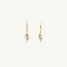 Shell Huggie Hoop Earrings