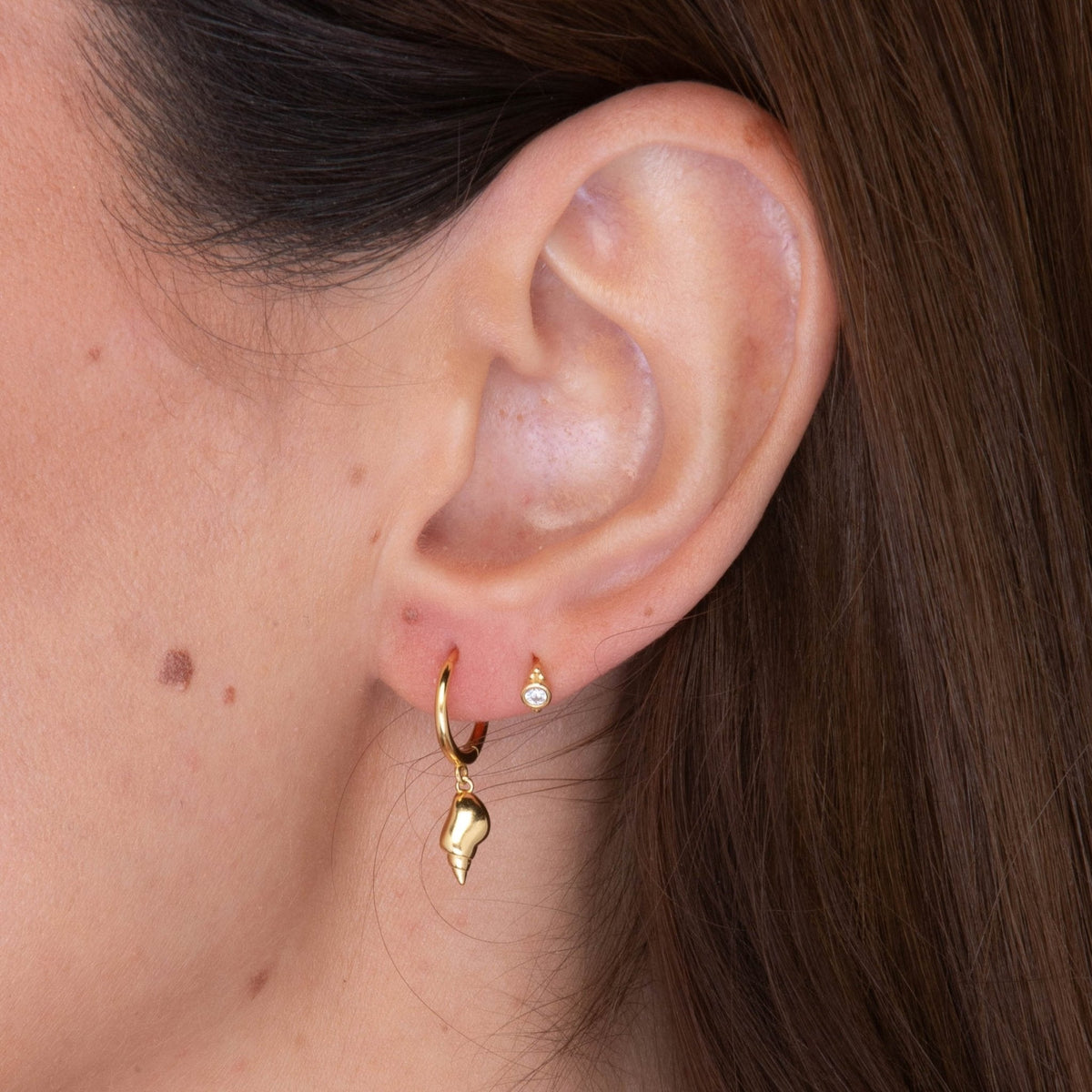 Shell Huggie Hoop Earrings