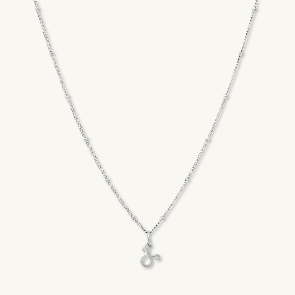 Taurus Pendant Zodiac Star Sign Necklace