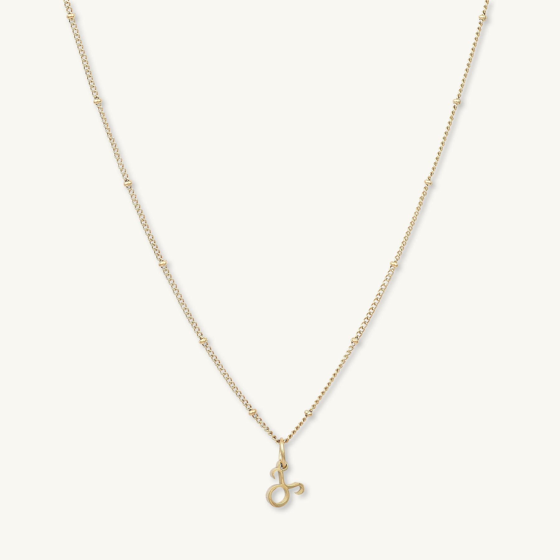 Taurus Pendant Zodiac Star Sign Necklace