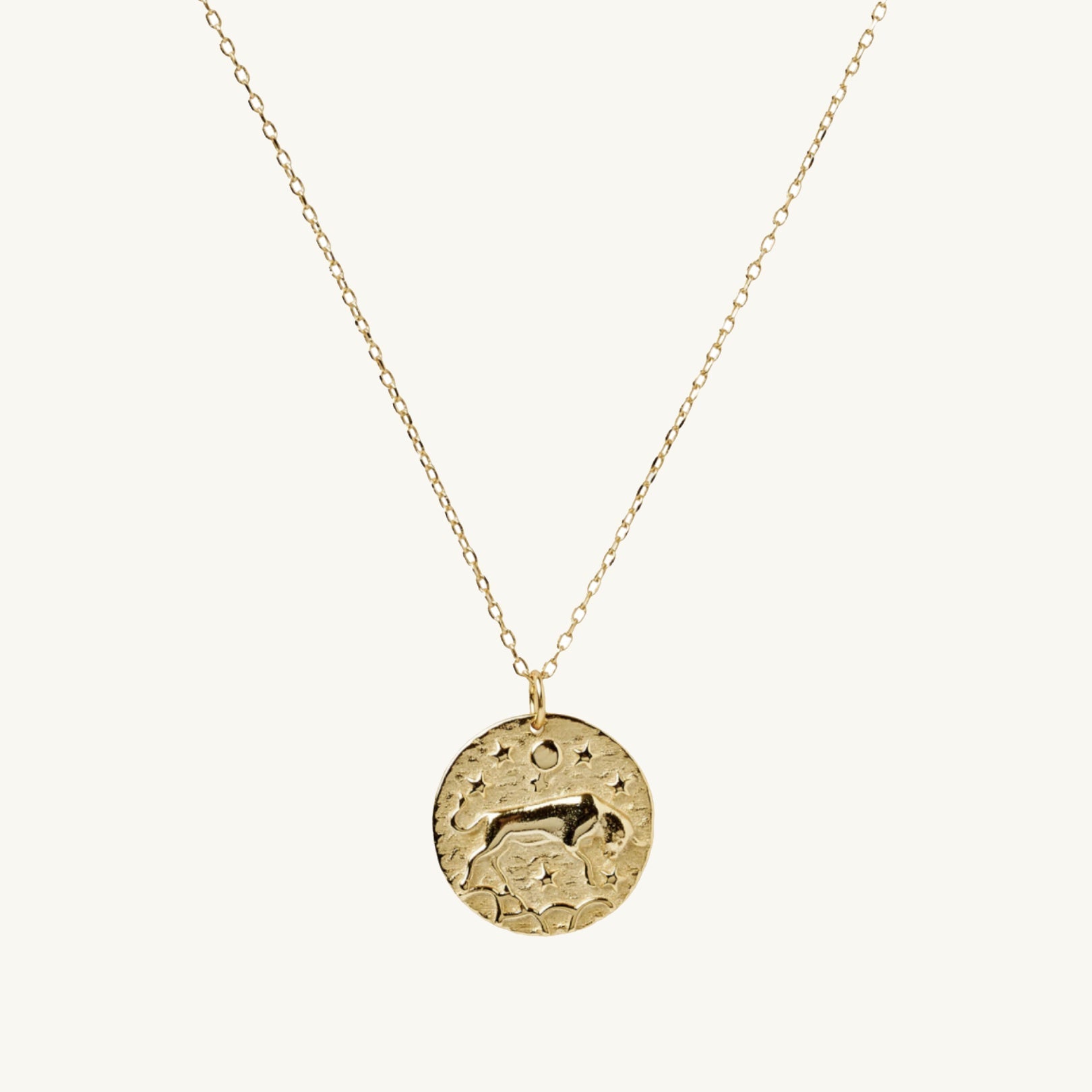 Taurus - Star Sign Necklace
