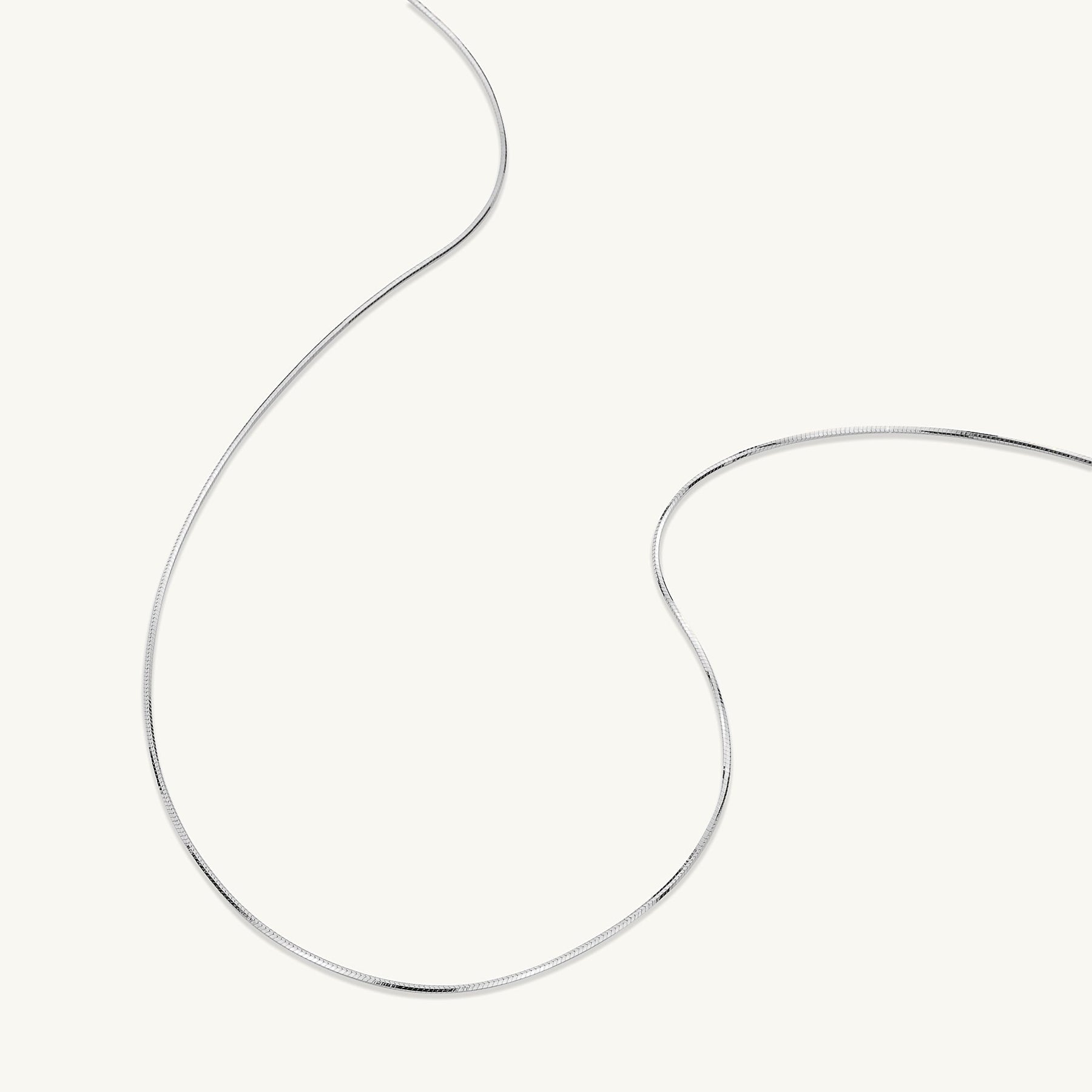 Classic Snake Chain Necklace