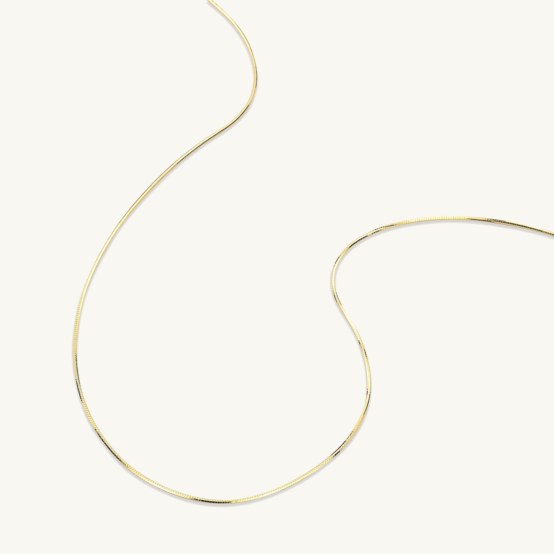 Classic Snake Chain Necklace
