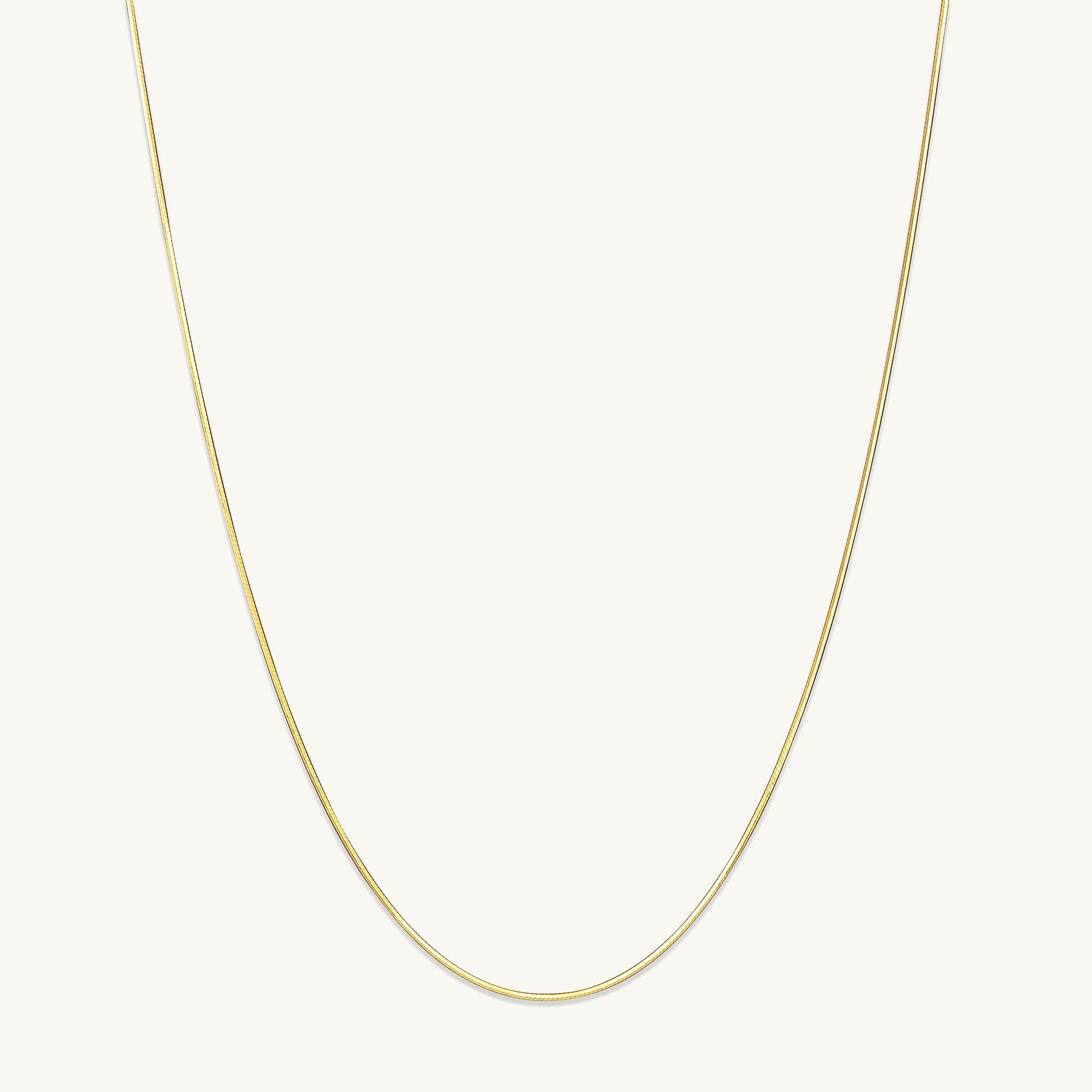 Classic Snake Chain Necklace